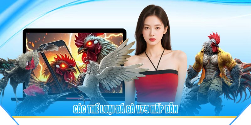 Các thể loại đá gà V79 hấp dẫn