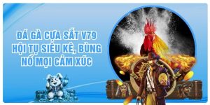 Đá Gà Cựa Sắt V79 - Hội Tụ Siêu Kê, Bùng Nổ Mọi Cảm Xúc