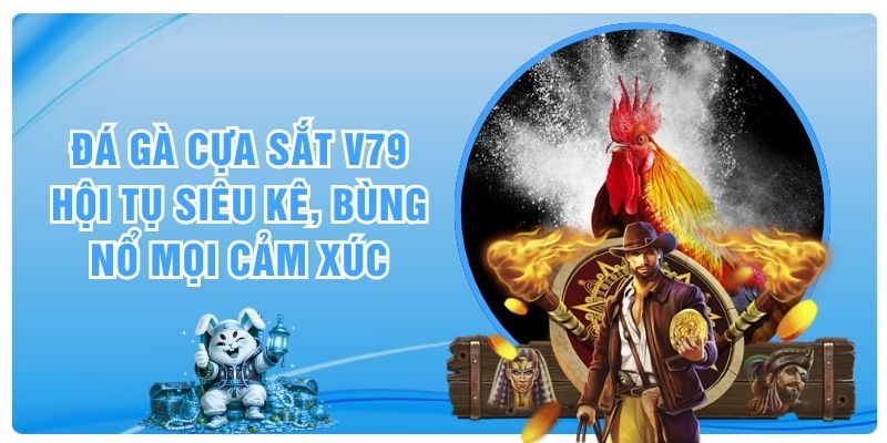 Đá Gà Cựa Sắt V79 - Hội Tụ Siêu Kê, Bùng Nổ Mọi Cảm Xúc