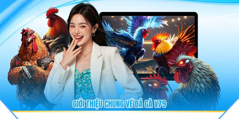 Giới thiệu chung về đá gà V79