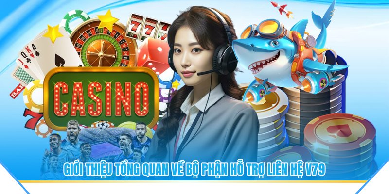 Giới thiệu tổng quan về bộ phận hỗ trợ liên hệ V79