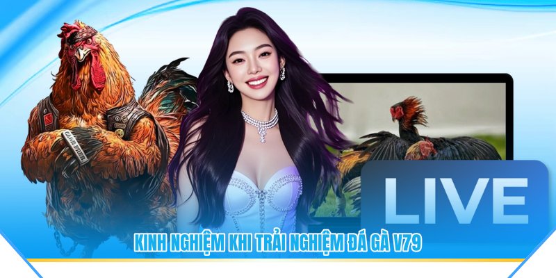 Kinh nghiệm khi trải nghiệm đá gà V79