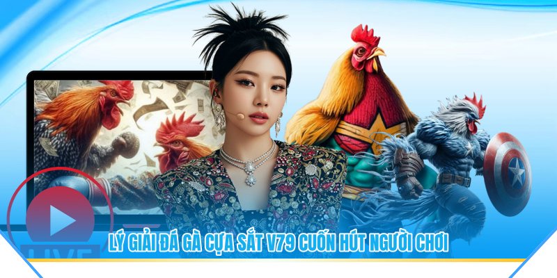 Lý giải đá gà cựa sắt V79 cuốn hút người chơi